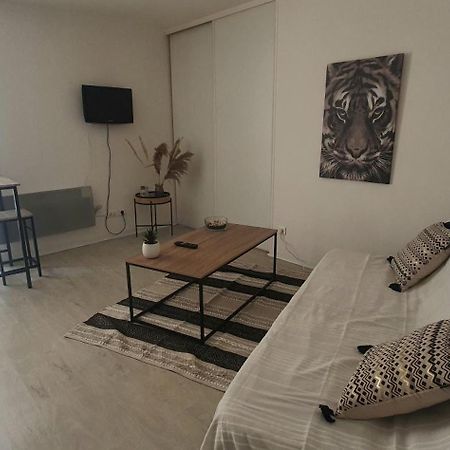 Studio Cosy Au Coeur De Millau Kültér fotó