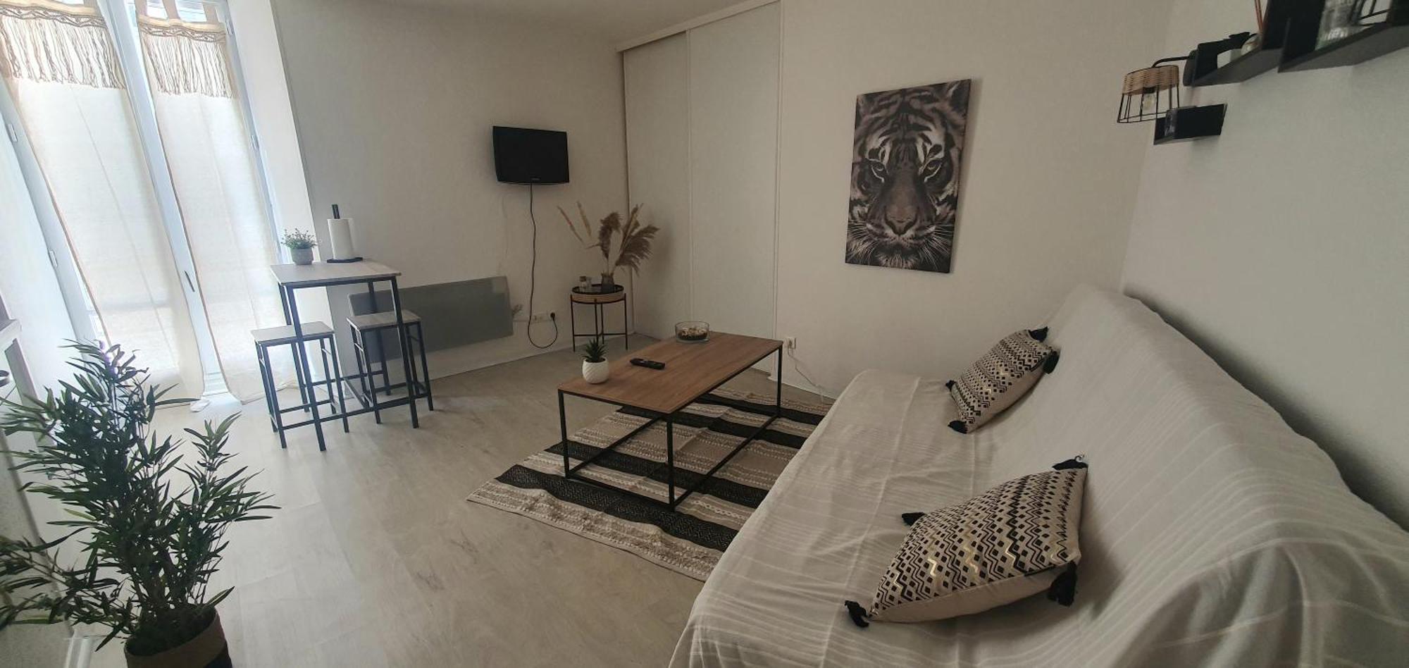 Studio Cosy Au Coeur De Millau Kültér fotó