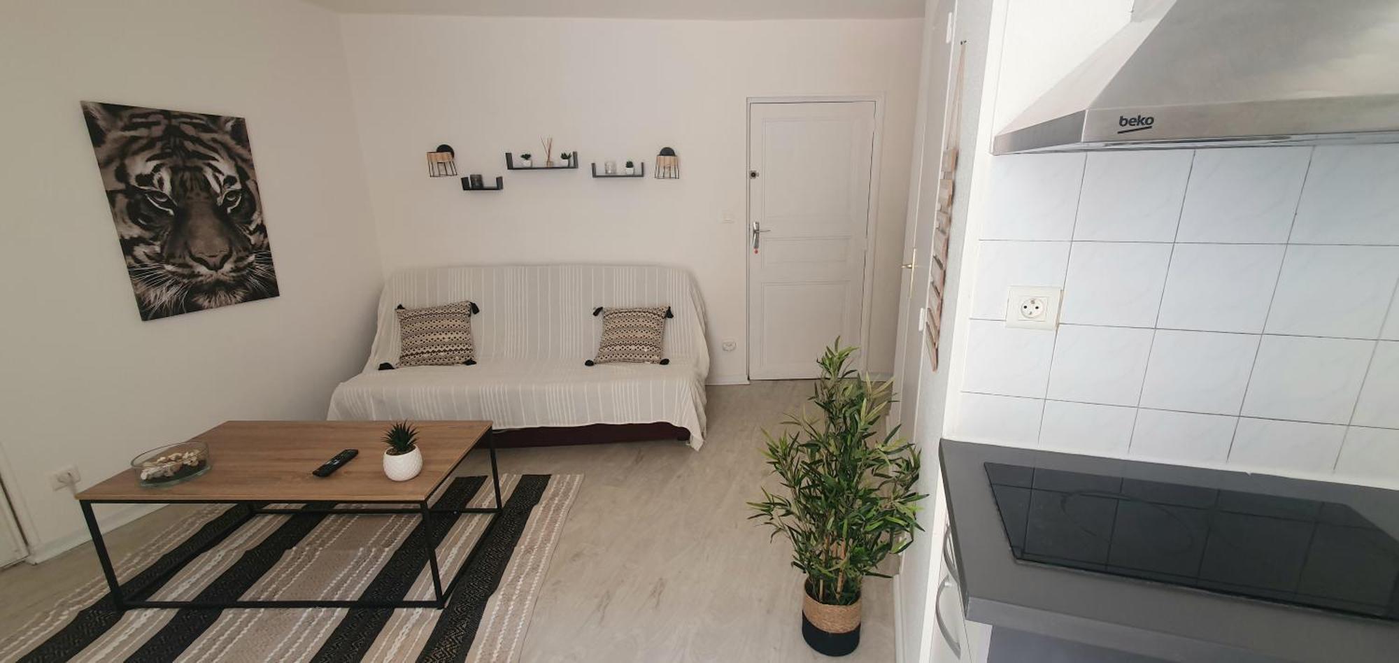 Studio Cosy Au Coeur De Millau Kültér fotó